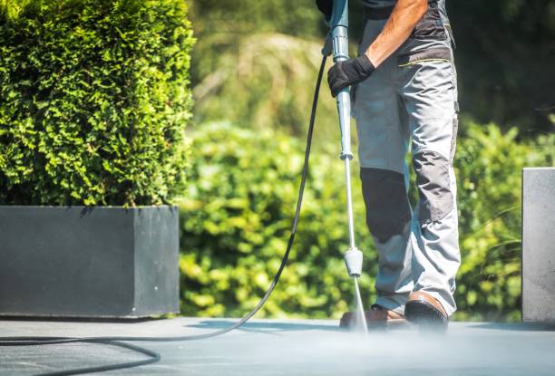 Boat and Dock Cleaning in West Van Lear, KY