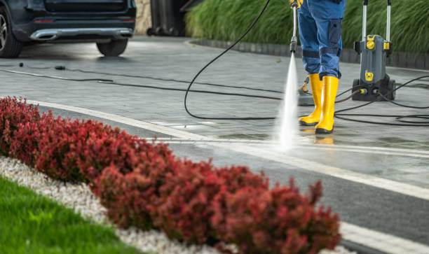 Best Driveway Pressure Washing  in West Van Lear, KY